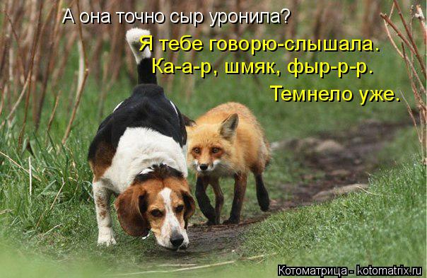 http://kotomatrix.ru/images/lolz/2014/04/07/kotomatritsa_G1.jpg