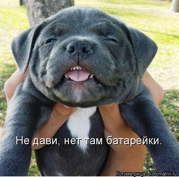 http://kotomatrix.ru/images/lolz/2014/09/16/kotomatritsa_MH.jpg