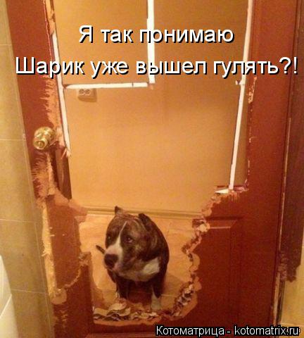 http://kotomatrix.ru/images/lolz/2015/01/08/kotomatritsa_ex.jpg
