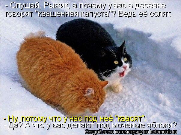 http://kotomatrix.ru/images/lolz/2015/01/29/kotomatritsa_7w.jpg