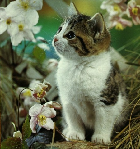 http://s9.uploads.ru/li7jB.jpg