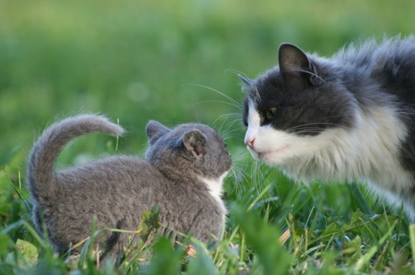 https://content.foto.my.mail.ru/mail/vsem20/91/h-1111.jpg