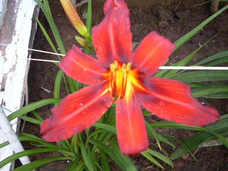 http://f5.ifotki.info/org/75f2d5fd7a3a90228d5d2c385c769f0d5b95ad61882215.jpg