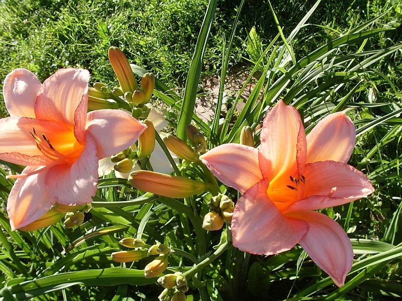 http://f5.ifotki.info/org/a77cf584cda7750ddcaaac278fa8b4b15b95ad61881770.jpg
