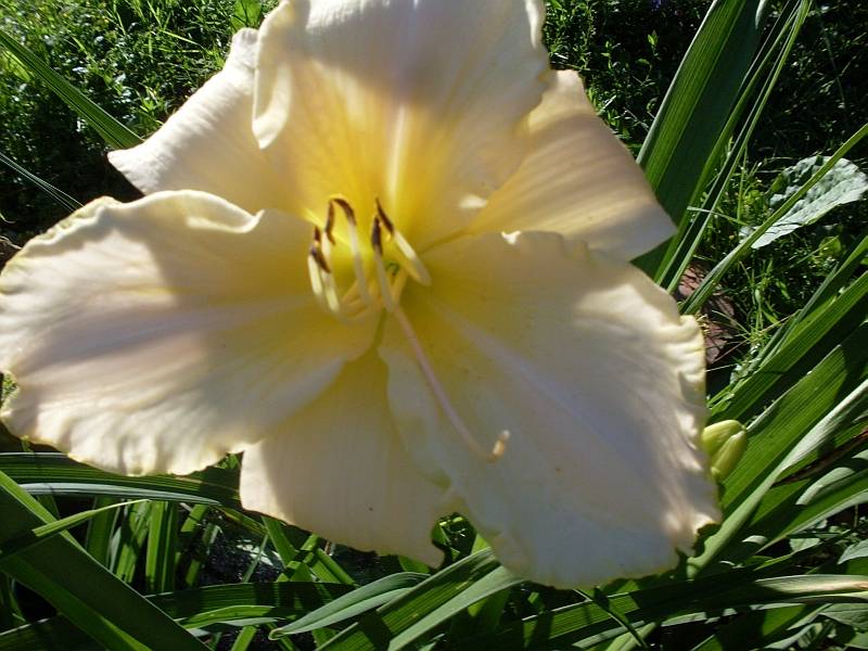 http://f5.ifotki.info/org/aa4f71e6d0b3cdbf7dcc79ba3efa37ff5b95ad61881858.jpg