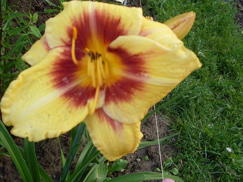 http://f5.ifotki.info/org/c31bd2dc9c7ef12edf5e2d6ae9d8da075b95ad61882114.jpg