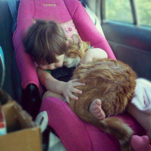http://anekdotov.net/pic/photo6/07124150f.jpg