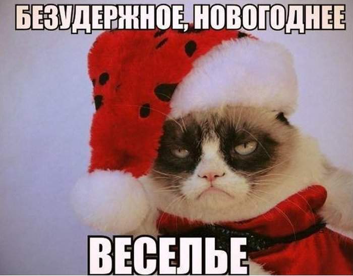 http://anekdotov.net/pic/photo7/12284058n.jpg