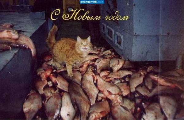 http://anekdotov.net/pic/postcards/cat/012953115j.jpg