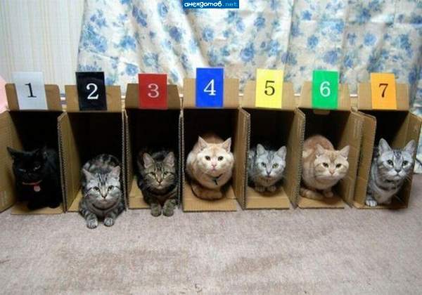 http://anekdotov.net/pic/postcards/cat/021753210j.jpg