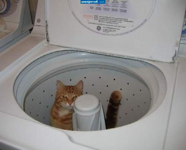 http://anekdotov.net/pic/postcards/cat/02452185i.jpg