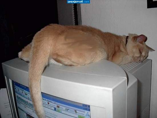 http://anekdotov.net/pic/postcards/cat/0526_718_198l.jpg