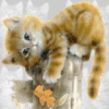 http://uploads.ru/t/0/E/W/0EWTG.gif