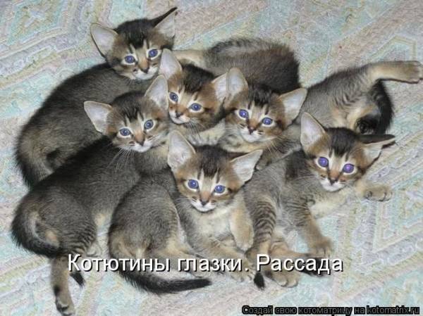 http://s3.uploads.ru/t/1zdXZ.jpg