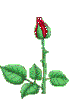 http://s7.uploads.ru/t/5p0jJ.gif
