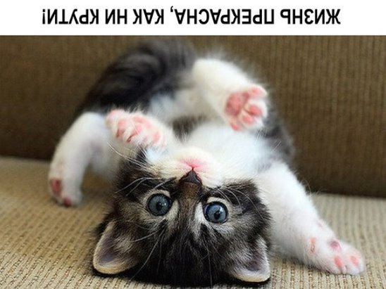 http://s7.uploads.ru/t/6egXh.jpg