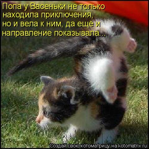 http://s2.uploads.ru/t/73poK.jpg