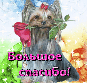 http://uploads.ru/t/8/I/g/8IgWF.gif