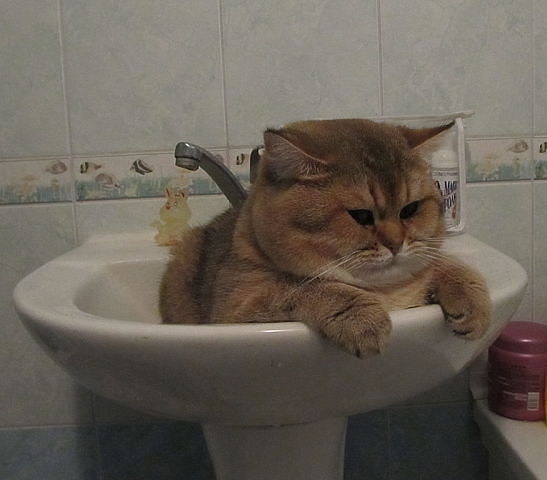 http://s7.uploads.ru/t/86WRH.jpg