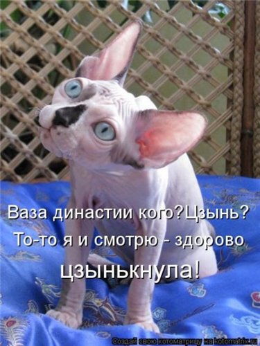 http://s6.uploads.ru/t/93xJt.jpg