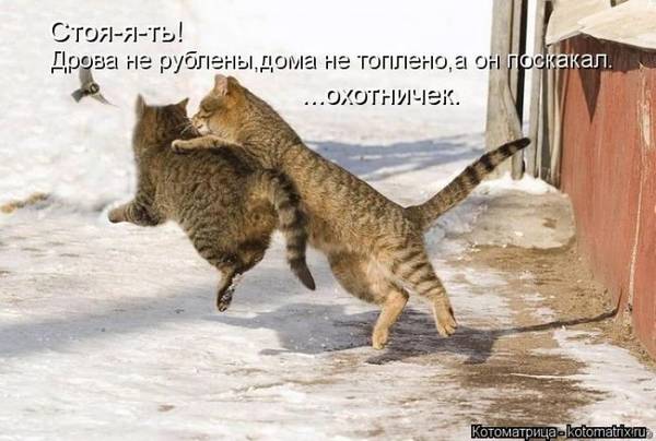 http://s3.uploads.ru/t/HKMDU.jpg