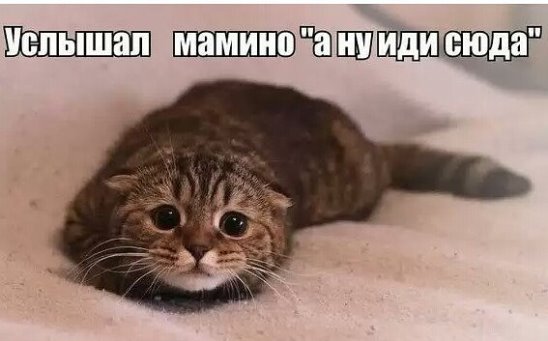 http://s6.uploads.ru/t/Ilyrk.jpg