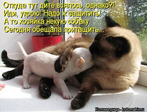 http://s7.uploads.ru/t/JyUTb.jpg