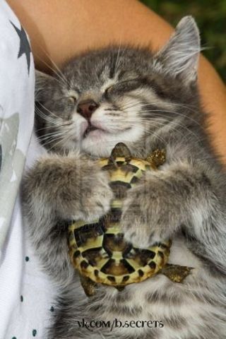 http://s7.uploads.ru/t/S3ysh.jpg