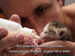 http://uploads.ru/t/T/0/s/T0sx4.jpg