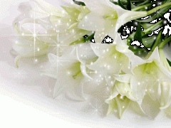 http://uploads.ru/t/W/I/1/WI1Sl.gif