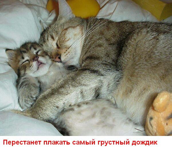 http://s3.uploads.ru/t/XrUFE.jpg