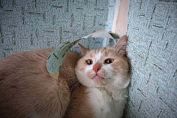 http://sa.uploads.ru/t/fwKGc.jpg