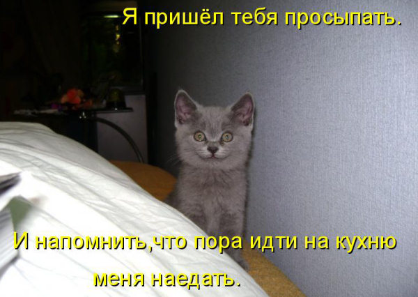 http://s9.uploads.ru/t/gMQ2J.jpg