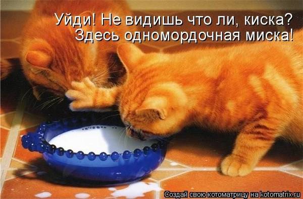 http://s2.uploads.ru/t/gzs7a.jpg