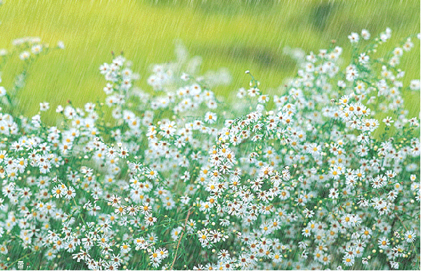 http://s7.uploads.ru/t/modkh.gif