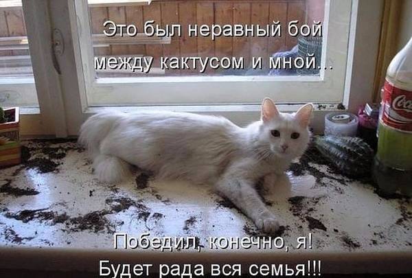 http://s7.uploads.ru/t/nSP1V.jpg
