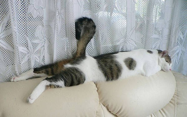 http://s2.uploads.ru/t/oElT9.jpg