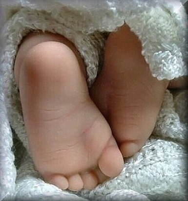 http://s2.uploads.ru/t/rATzV.jpg