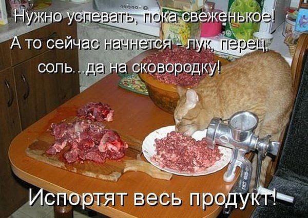 http://s3.uploads.ru/t/rukfw.jpg