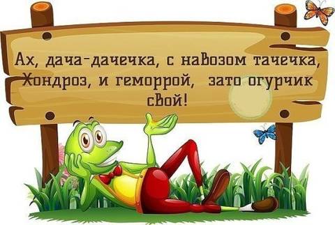 http://sg.uploads.ru/t/xwqvI.jpg