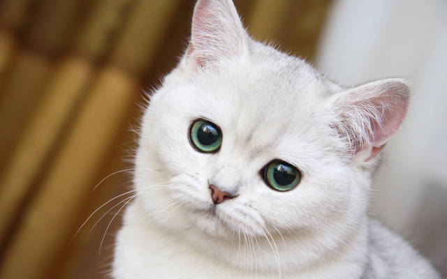 http://s7.uploads.ru/vFpx7.jpg