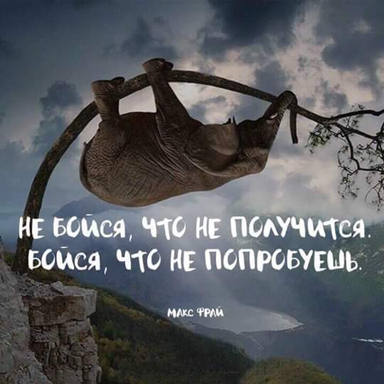 http://sd.uploads.ru/wft8x.jpg